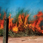 Incêndios em áreas canavieiras – Procedimentos a serem adotados pelos produtores