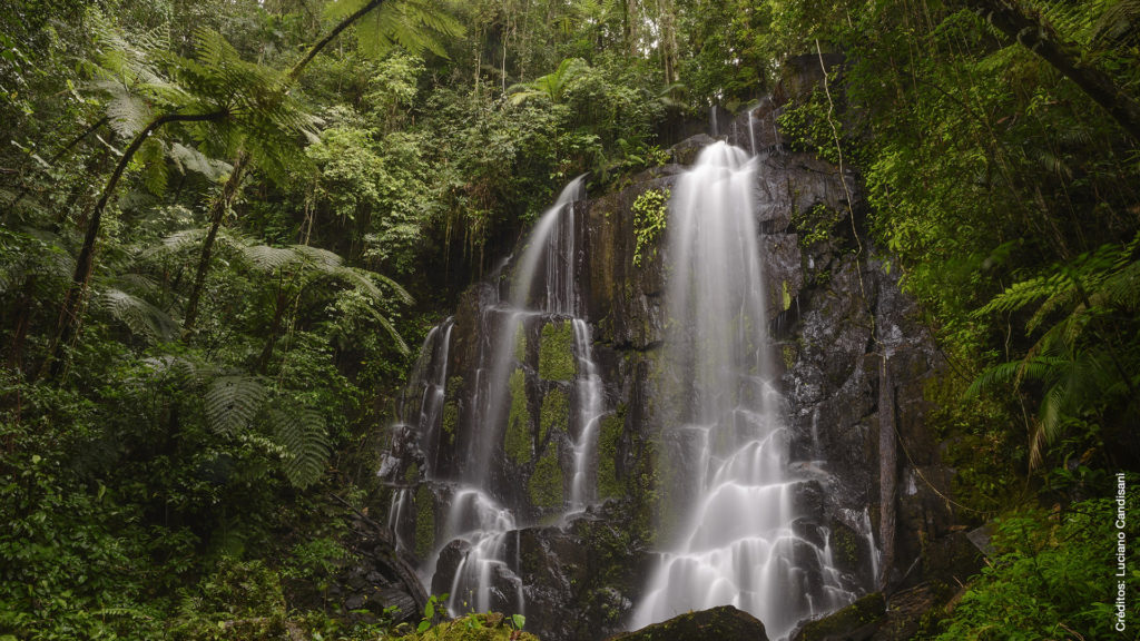 cachoeira