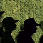 A nova era do Consecana