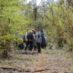 Conhecimento ambiental