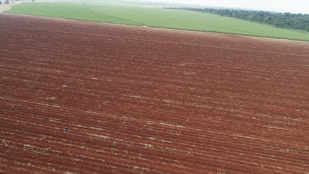 terra preparada para plantar cana