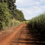 A hora é agora: aceiro limpo já!