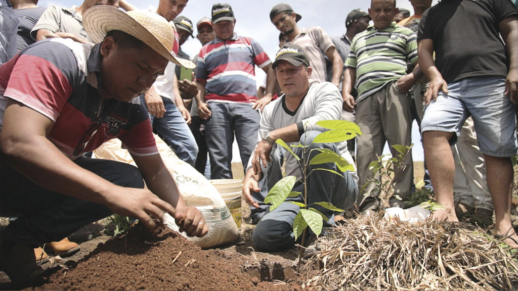 pessoas plantando