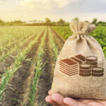 Gestão da informação no agronegócio