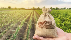 Gestão da informação