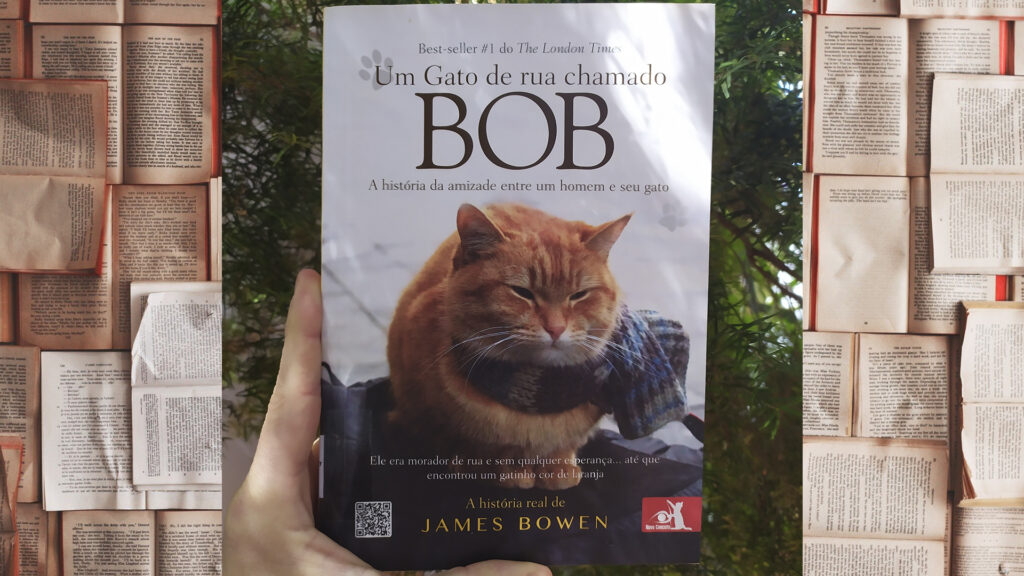 livro um gato de rua chamado bob