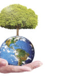 Canaoeste segue tendência mundial e apresenta benefícios da produção sustentável