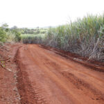Em época de incêndios redobre a atenção e faça aceiros