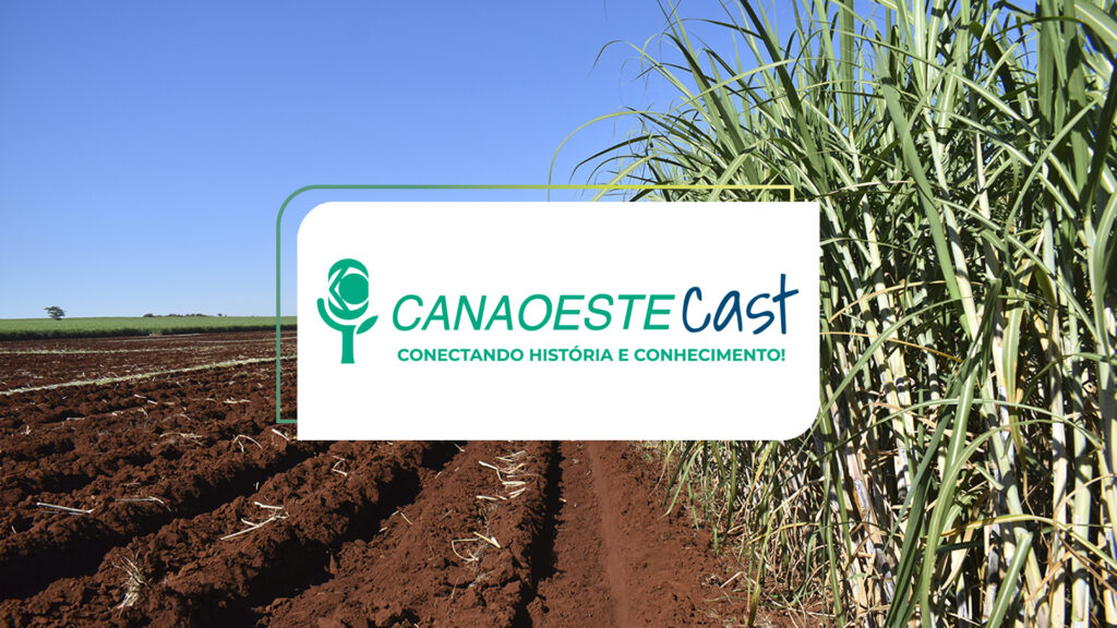 canaoestecast