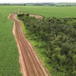 Resolução SMA Nº 32, de 03 de abril de 2014 – 10 anos de restauração ecológica