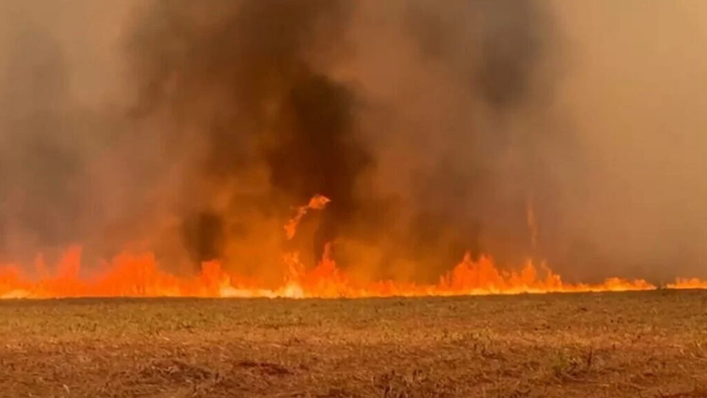 queimada e incêndio