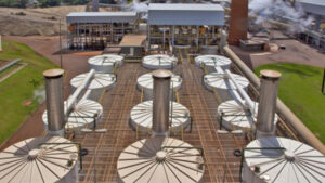 setor bioenergético