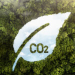 Prêmio SP Carbono Zero valoriza iniciativas sustentáveis em andamento no Estado de São Paulo