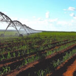 Irrigação é ferramenta indispensável para mitigação dos riscos climáticos