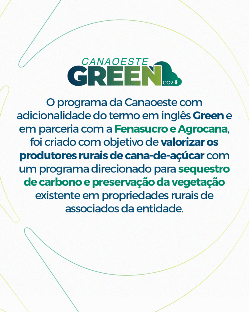 canaoestegreen_2