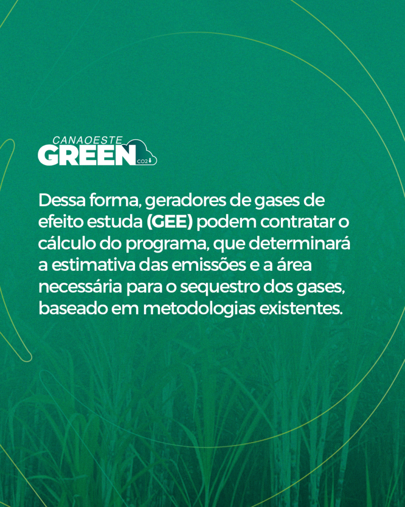 canaoestegreen_3