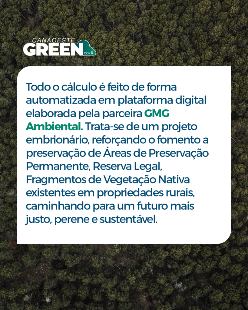 canaoestegreen_4