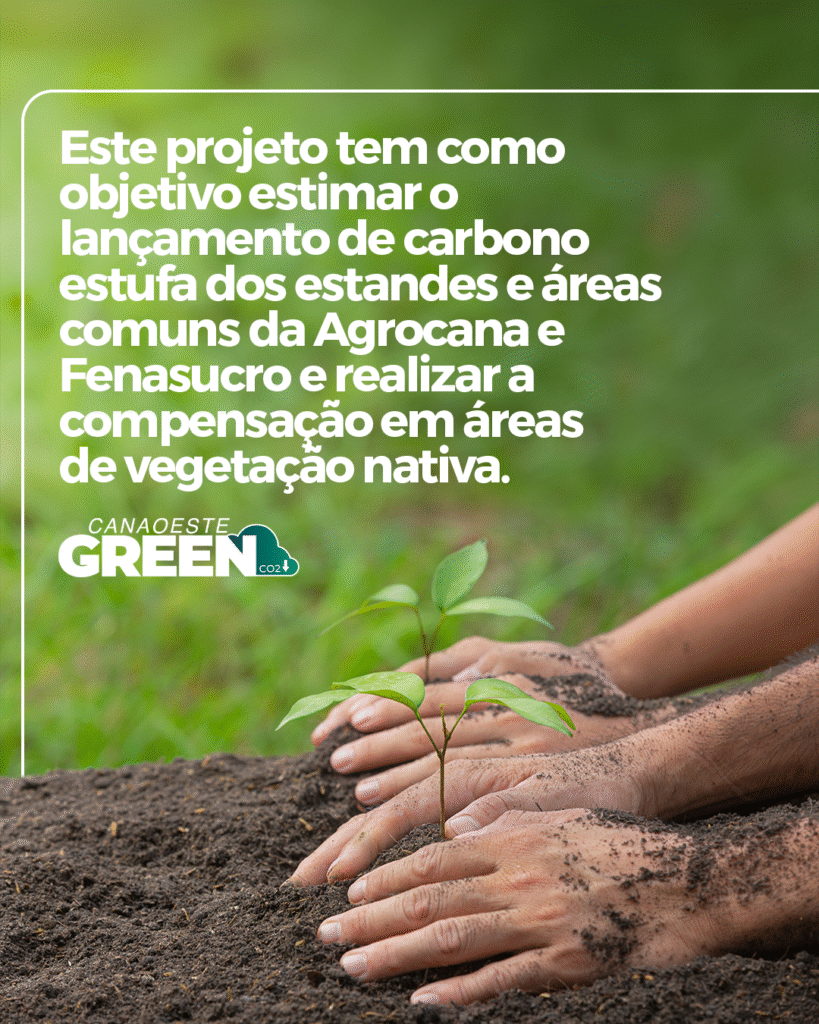 canaoestegreen_5