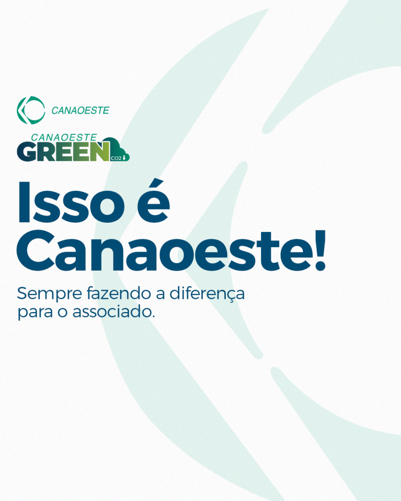 canaoestegreen_6