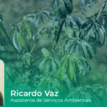 Restauração Ecológica: Espécies arbóreas adaptadas a áreas úmidas