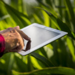 Superávit do agronegócio paulista garante us$ 14 bi em 2025, mesmo com tarifaço dos EUA