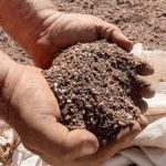 Fertilizantes sob pressão: fosfatados disparam e nitrogenados seguem tendência de alta
