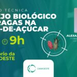 Canaoeste lançará novo bioinsumo contra nematóides