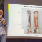 Doença esquecida volta a preocupar produtores de cana no Brasil