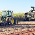Etanol ganha espaço no Centro-Sul em setembro, enquanto açúcar perde participação no mix