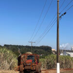 Bioeletricidade da cana fortalece matriz energética, aponta estudo da Embrapa