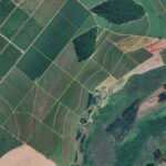 Governo adia exigência de georreferenciamento rural para 2029