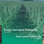 A POLÍTICA NACIONAL DE MANEJO INTEGRADO DO FOGO (MIF) E OS NOVOS DESAFIOS DO PRODUTOR RURAL EM CASO DE INCÊNDIOS.
