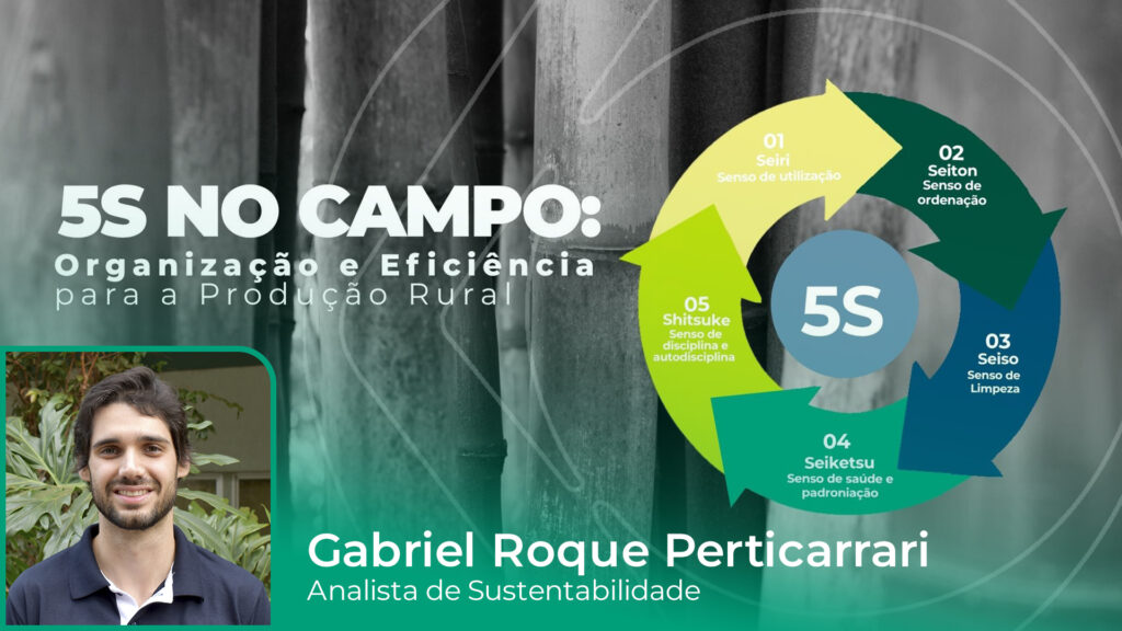 5S no Campo: Organização e Eficiência para a Produção Rural