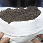 ICPF recua para 1,17 em outubro, com alívio nos fertilizantes e pressão do clima