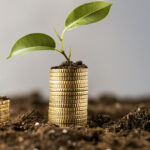 Produtor paulista mantém “modo de defesa” na safra 2025/26