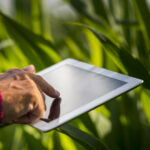 Tecnologias sustentáveis no campo podem adicionar quase R$ 95 bilhões ao PIB brasileiro até 2030, mostra estudo da FGV