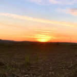 O fenômeno La Niña deve atuar de forma breve e fraca, com tendência à neutralidade dominando o ciclo