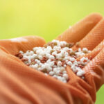 China assume liderança nas exportações de fertilizantes ao Brasil