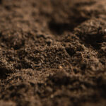 Mapeamento nacional avança em profundidade e oferece base inédita para decisões estratégicas no agro e no território