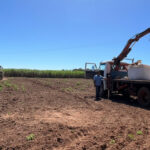 Condições de mercado tornam compra de insumos mais vantajosa ao produtor