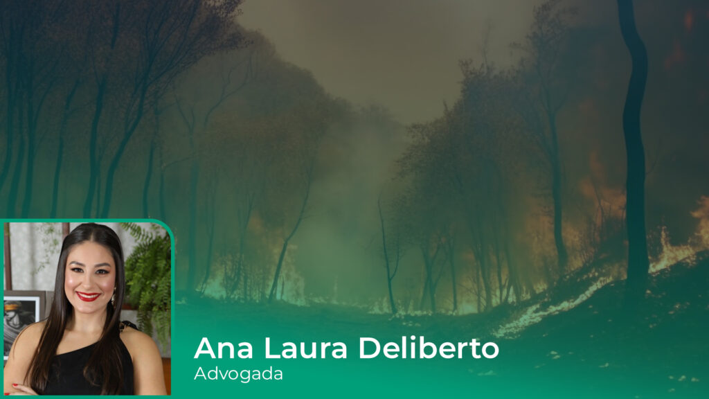 Incêndios no campo: conheça as exigências da Resolução COMIF nº 03/2025