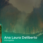 Prevenção de Incêndios Florestais: Pontos de Atenção ao Produtor Rural segundo a Resolução COMIF nº 3/2025