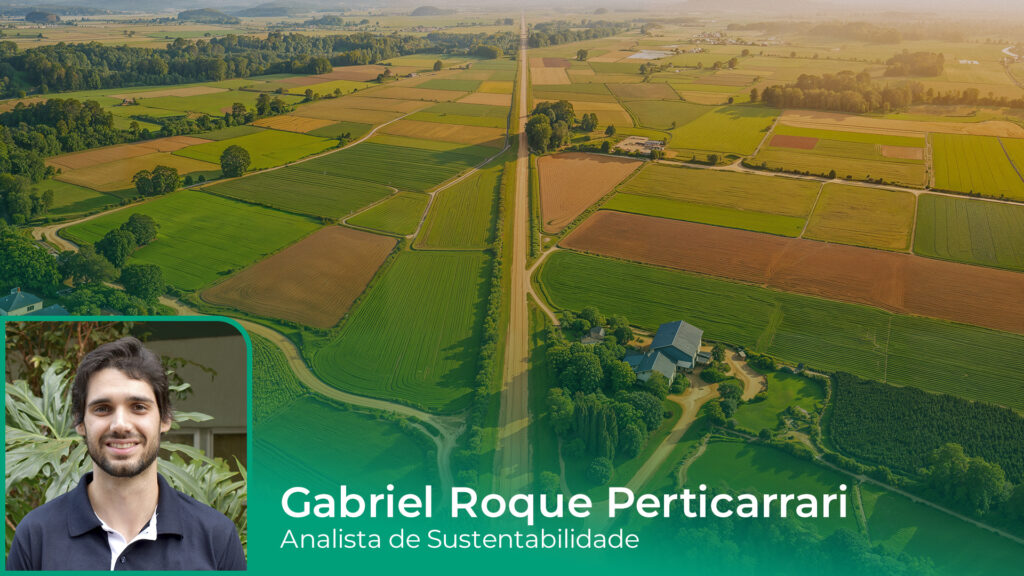 Entenda o 5S e como ele contribui para a melhoria contínua no campo