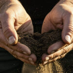 Entregas de fertilizantes avançam 9,3% e atingem 35,86 milhões de toneladas no acumulado do ano