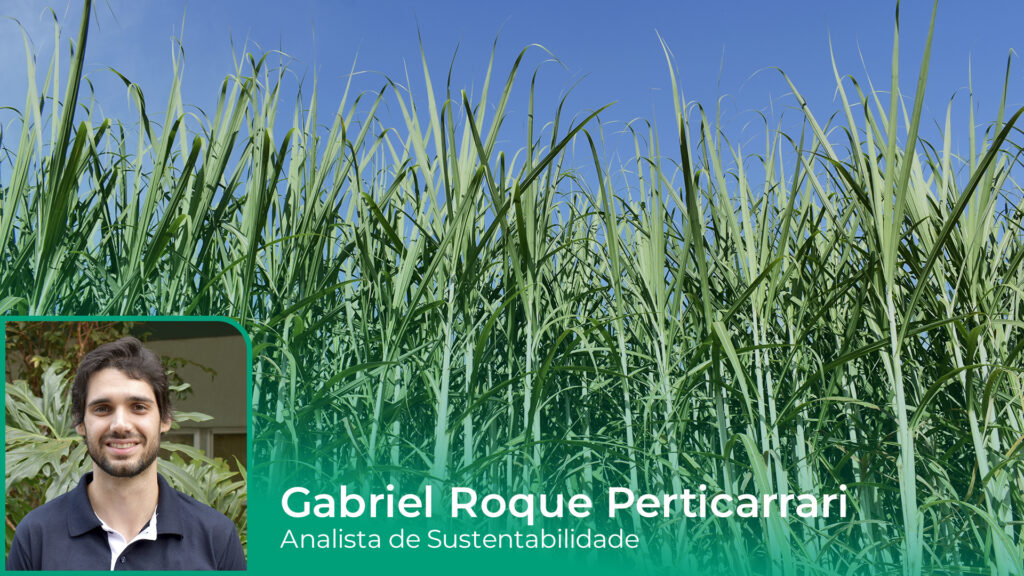 Produtividade começa na organização: o 5S aplicado ao campo