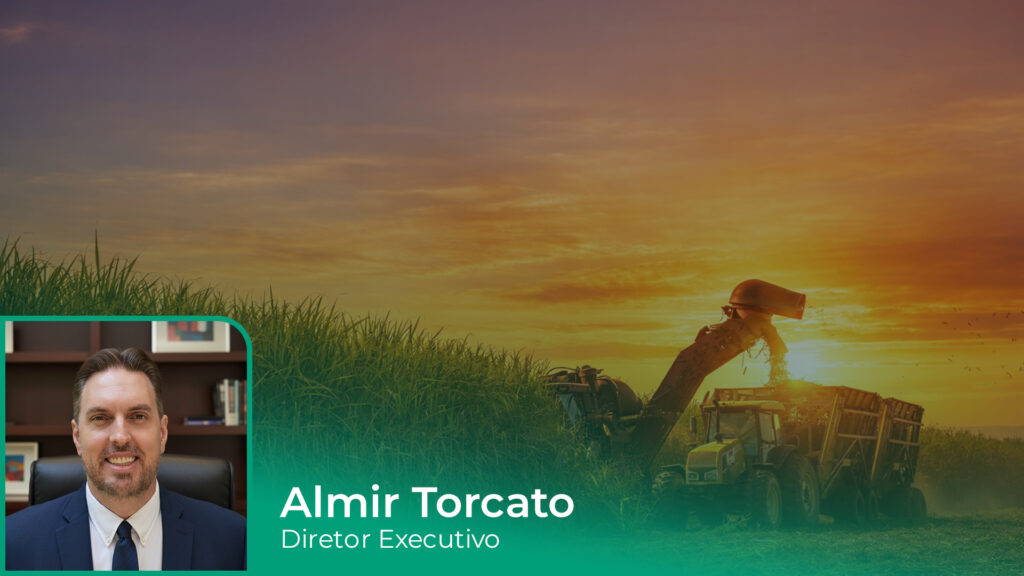 Produtividade orienta decisões do produtor de cana em um cenário de margens pressionadas