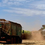 Centro-Sul avança na safra 2025/26 com moagem menor e desafios para o produtor de cana