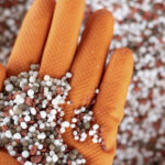 IPCF avança em dezembro e fecha 2025 com média anual positiva