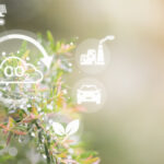 BNDES abre seleção para estudo técnico sobre certificação de créditos de carbono no Brasil