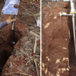 Conversão de biomas à agropecuária retirou 1,4 bilhão de toneladas de carbono do solo